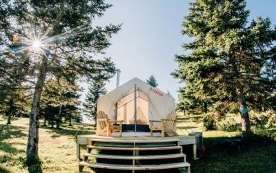 Bear Rock Signature Tent Series