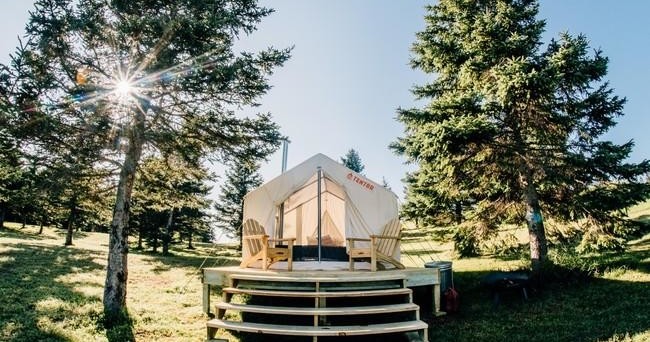 Bear Rock Signature Tents